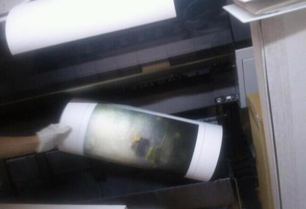 599065_10151344067752654_890632680_n