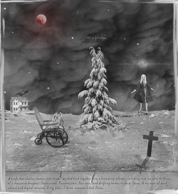 "Not a Phallus" by Mia Makila, 2014 [digital]