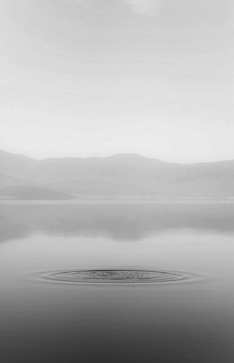 tumblr_mmu85ctdVj1r33qupo1_500