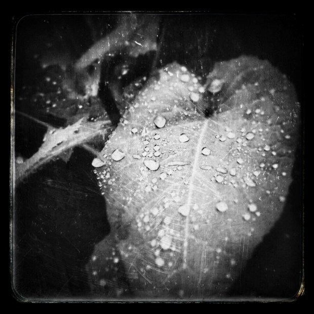 10372001_10152153757122654_4140343128338043389_n~2