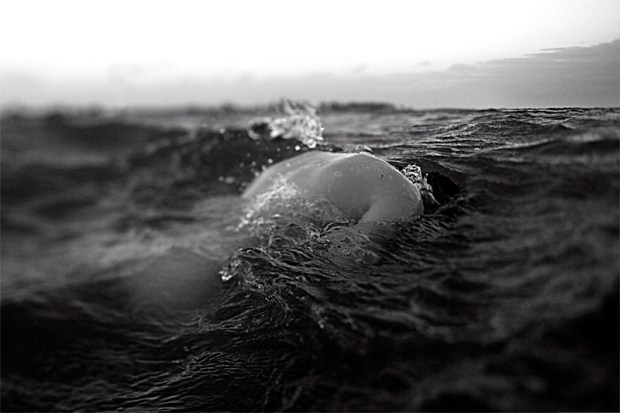 8-24862-10_IPA_nassau_01