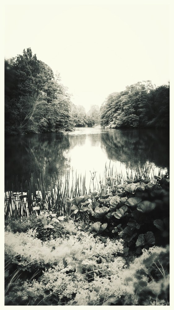 IMG_20150731_154500~3