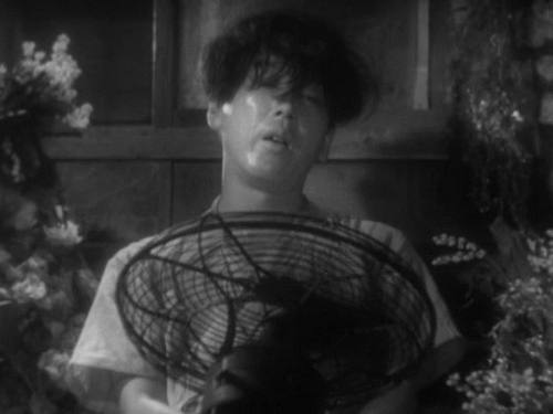 tumblr_l5nvw5gswW1qbqm2bo1_500