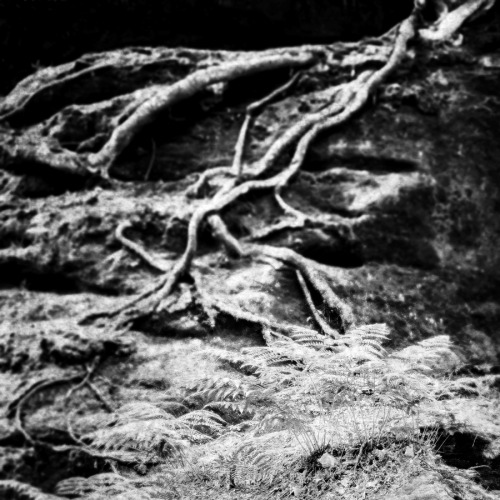 tumblr_nqctitpAta1tp46qqo1_500