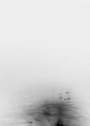 tumblr_m8erpwZq2K1qg39ewo1_500