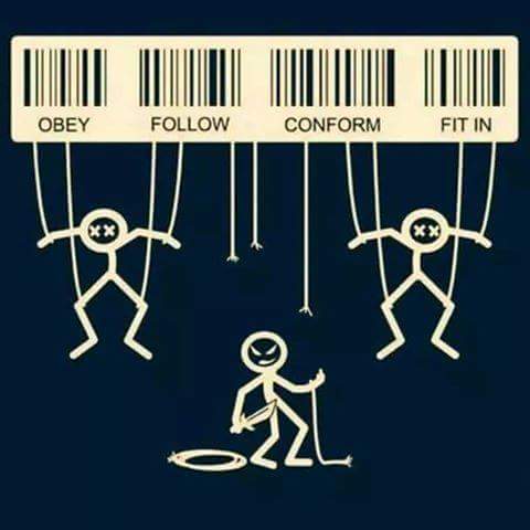 FB_IMG_1452018769270