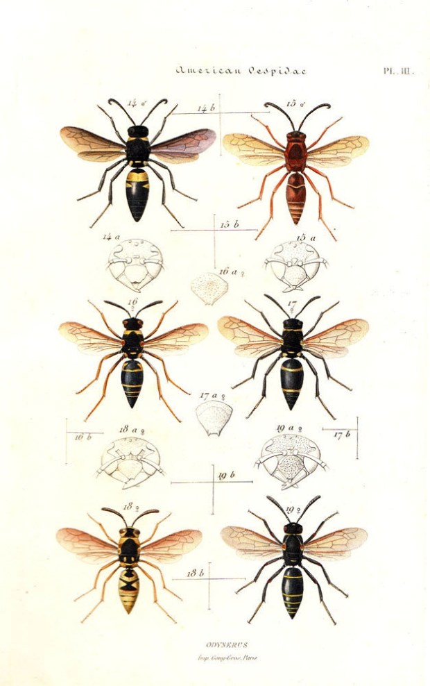 8f6dda71b808af6de71eb00975c7be25