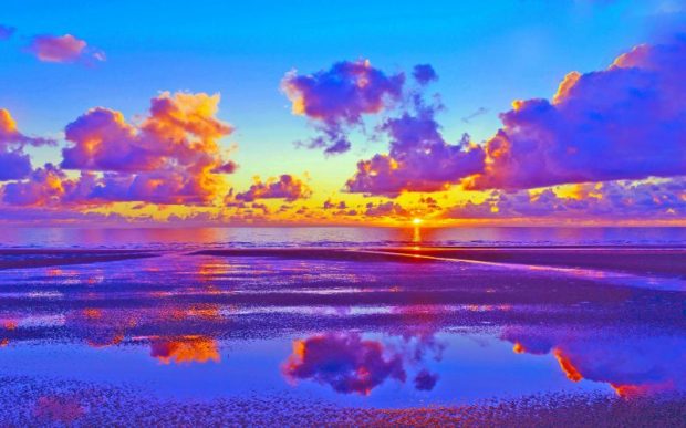 (photo found on tumblr)