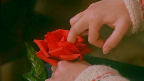 tumblr_m1i3n09z6l1r4ip6xo1_500